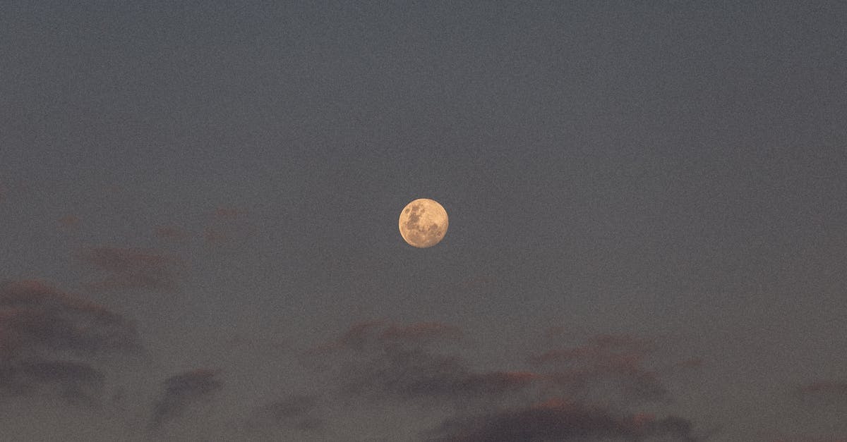 How rare is the Blood moon in Terraria? - Free stock photo of blood moon, moon How rare is the Blood moon in Terraria? - Free stock photo of blood moon, moon