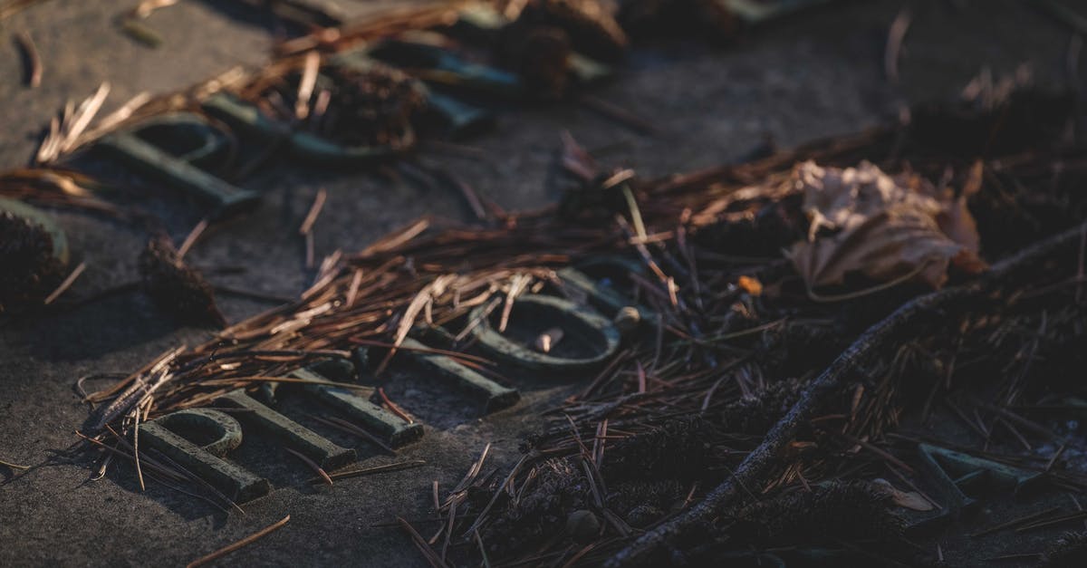 How soon does the plot of land letter arrive for morthal thane? - Metal letters with weathered surface under faded spruce needles on rough terrain in twilight How soon does the plot of land letter arrive for morthal thane? - Metal letters with weathered surface under faded spruce needles on rough terrain in twilight