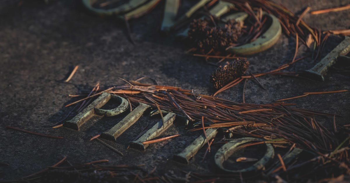 How soon does the plot of land letter arrive for morthal thane? - Letters with faded fir needles on dry terrain How soon does the plot of land letter arrive for morthal thane? - Letters with faded fir needles on dry terrain