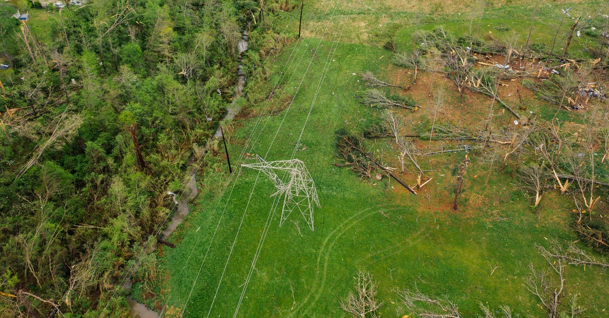 How to achieve 'A' ranking on forgotten forest in Kameo Elements of Power - Uprooted trees on valley after thunderstorm