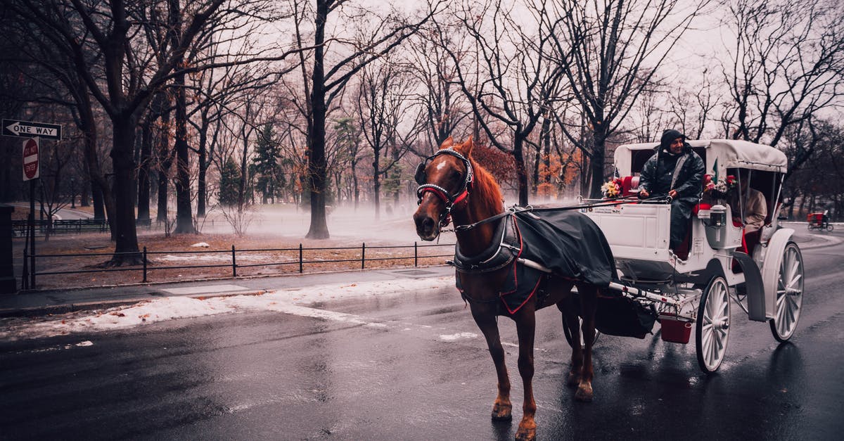 How to add a new horse type - Man Riding White Carriage Pulling by Brown Horse