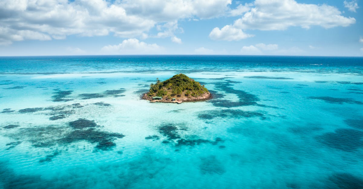 How to assassinate Andre - Island How to assassinate Andre - Island