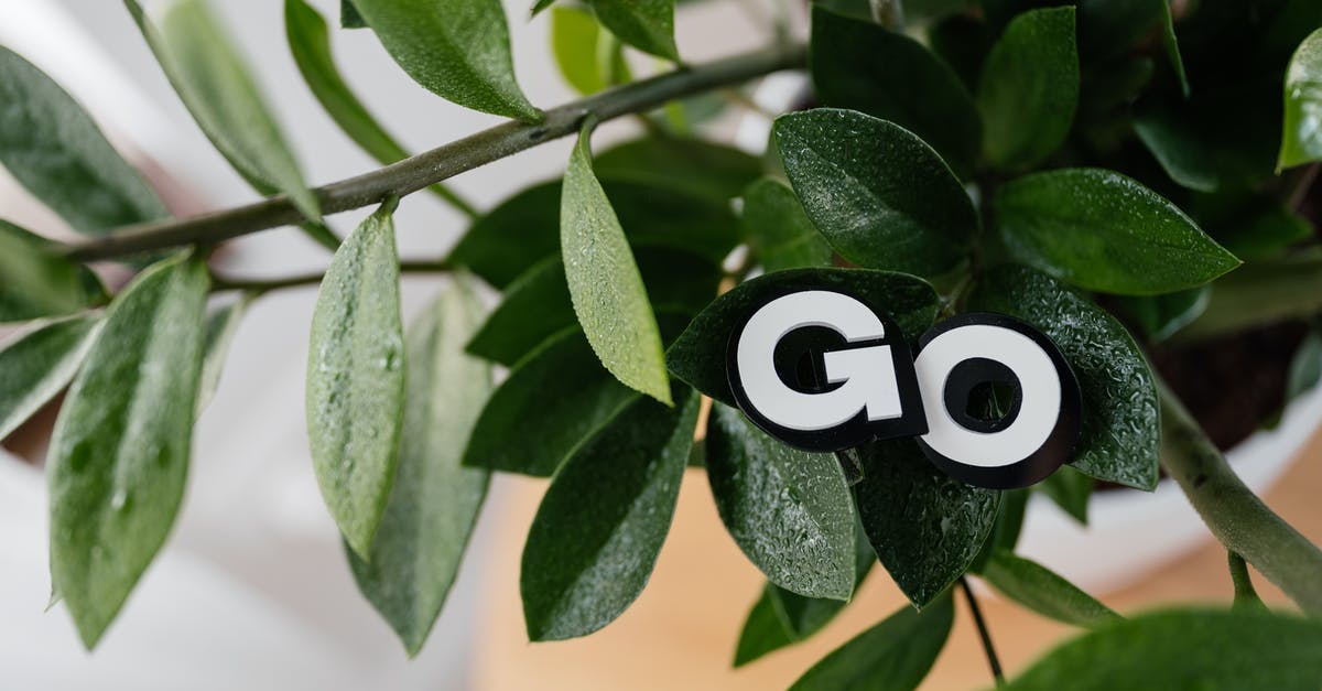 How to automatically go to the next level? - Close Up Shot of Green Plant How to automatically go to the next level? - Close Up Shot of Green Plant