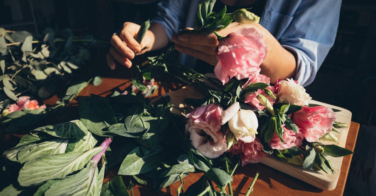 How to avoid romancing jack but not making her mad? (Plus Tali and Liara) - Person Holding Pink and White Flower Bouquet