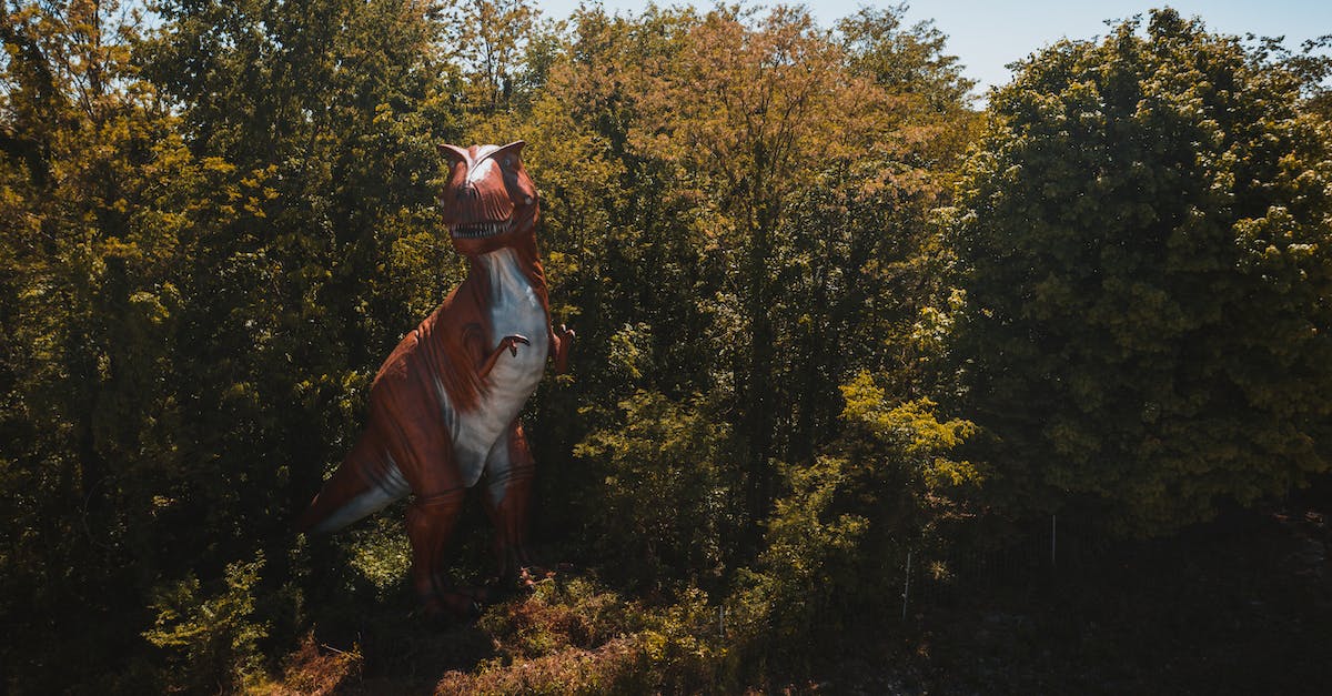 How to avoid the loot from the dragon falling into the lava - From above of graceful dragon sculpture surrounded by trees under sky in fall