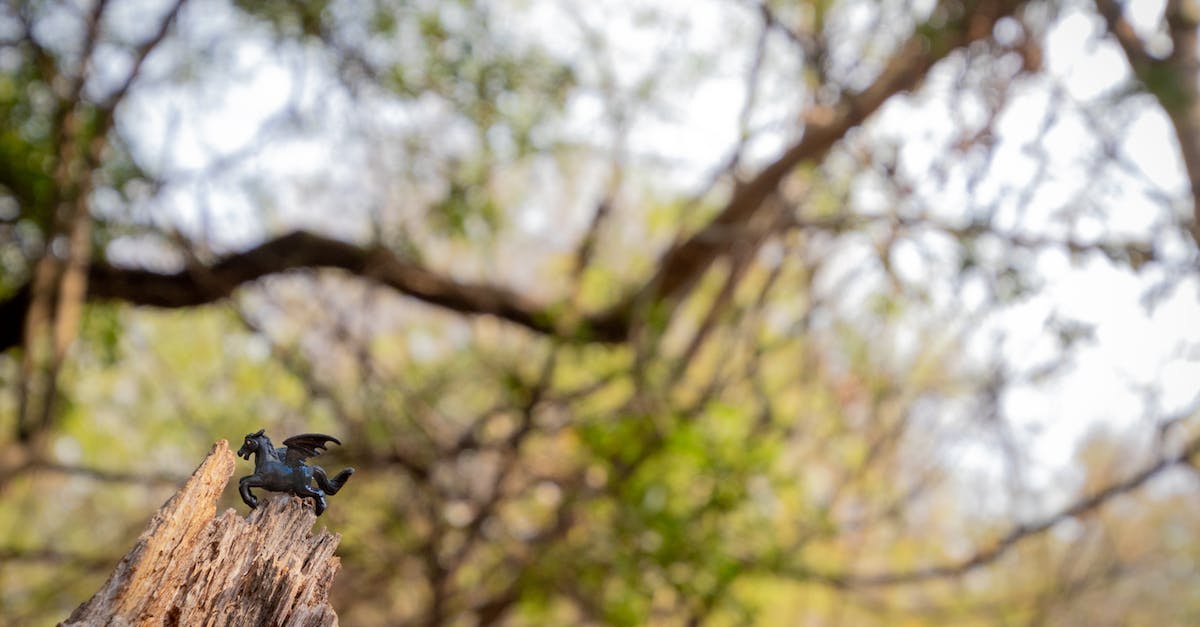 How to avoid the loot from the dragon falling into the lava - Selective Focus Photography of Pegasus Figurine How to avoid the loot from the dragon falling into the lava - Selective Focus Photography of Pegasus Figurine