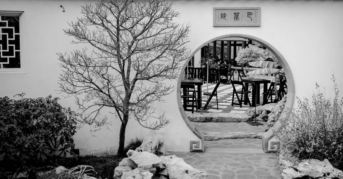 How to beat the Rat King in the eastern room? - Grayscale Photo of Bare Trees Near Concrete Building How to beat the Rat King in the eastern room? - Grayscale Photo of Bare Trees Near Concrete Building