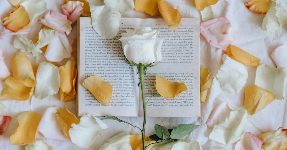 How to book many marines quickly - Rose on book near scattered petals How to book many marines quickly - Rose on book near scattered petals