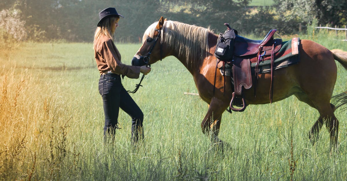 How to breed a horse [duplicate] - Adult woman with horse on farm pasture