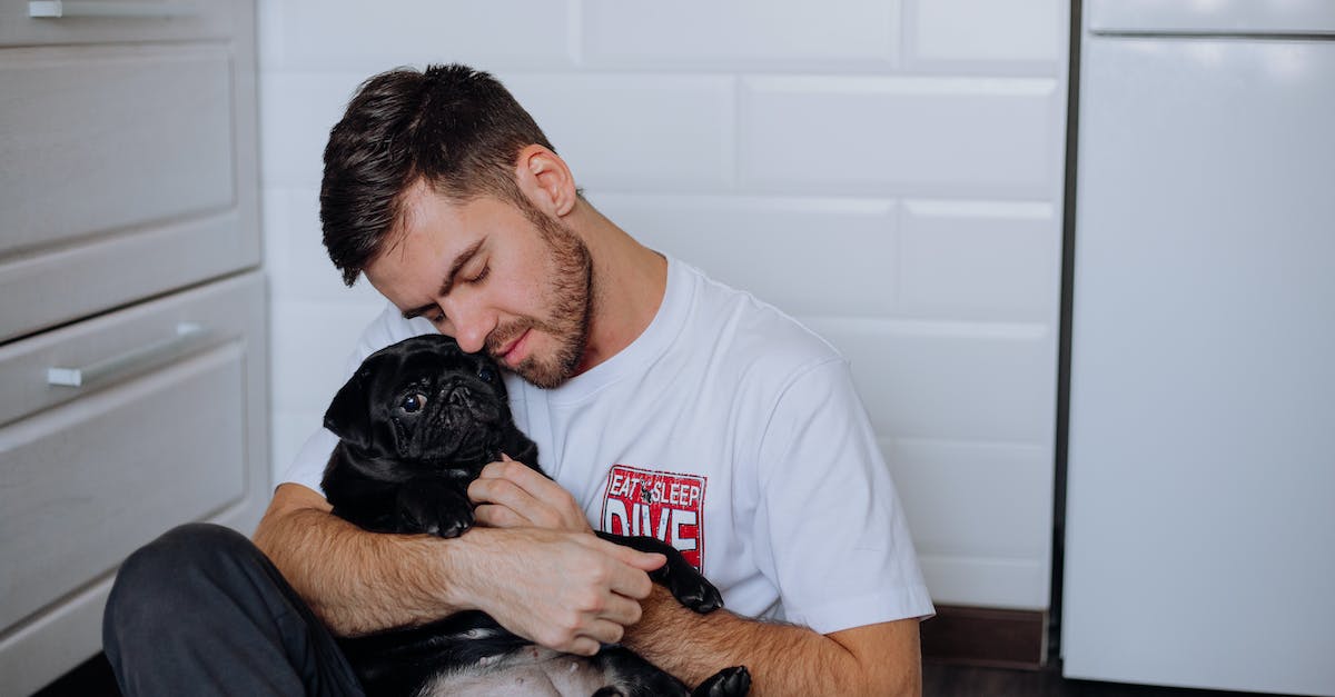How to breed a T-Rox - A Man Petting His Dog