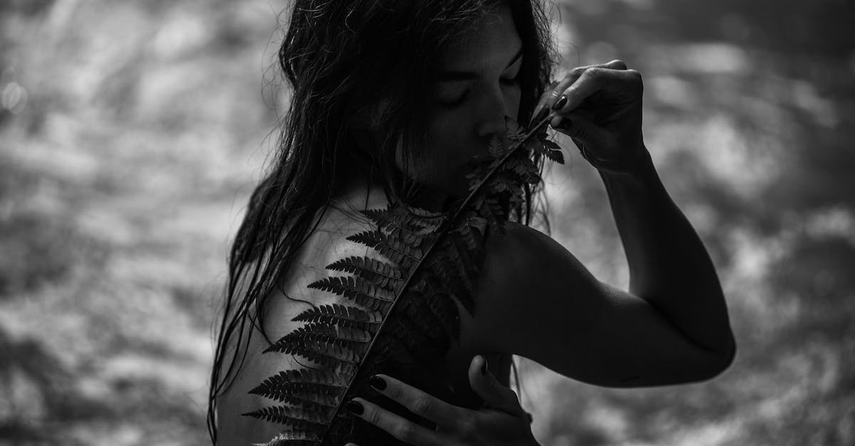 How to bring back mysteriously missing contract in Kerbal? - Black and White Shot of a Woman with Fern by a River How to bring back mysteriously missing contract in Kerbal? - Black and White Shot of a Woman with Fern by a River