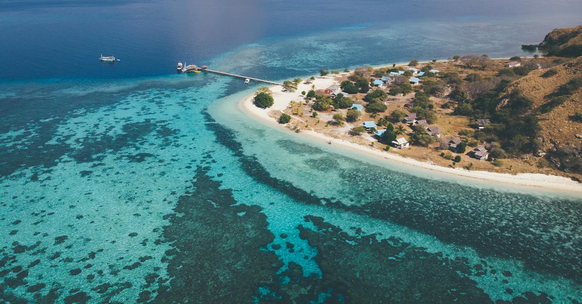 How to build long horizontal blocks in Terraria on XBox? - Drone view of green shore with trees and residential houses near endless calm water of blue ocean