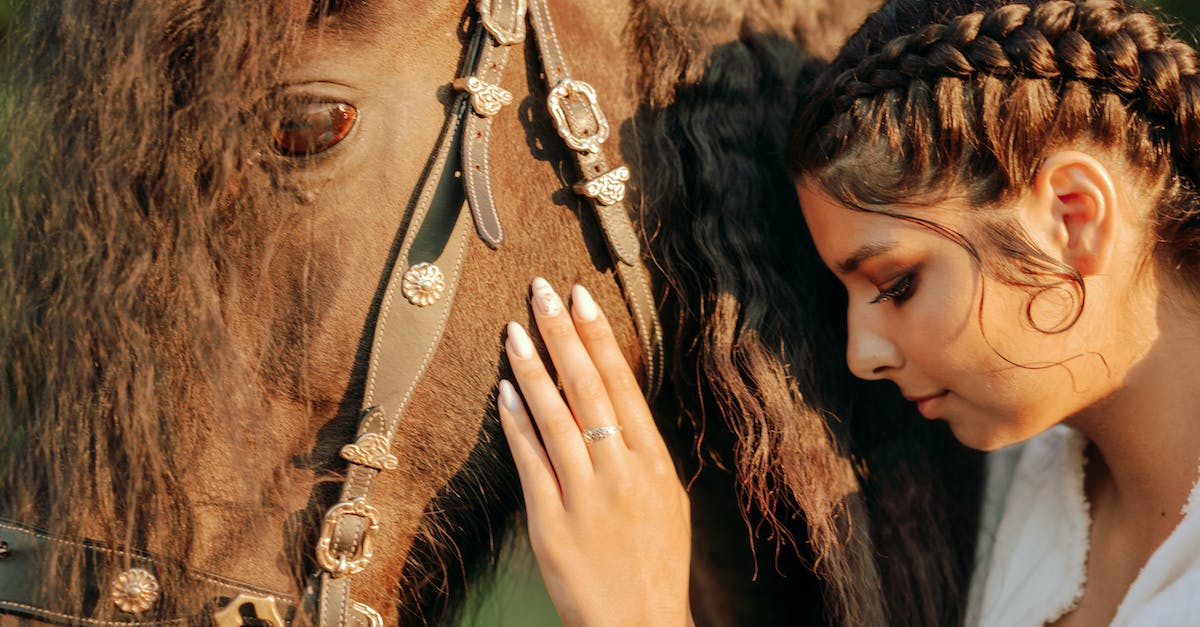 How to change legendary ring characteristics? - Woman in Black Shirt Holding Brown Horse How to change legendary ring characteristics? - Woman in Black Shirt Holding Brown Horse