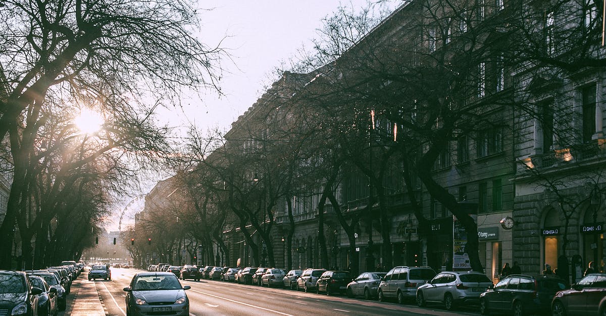 How to change the download location of games through Origin? - Cars driving on asphalt road between parked automobiles and residential houses in modern city district with sun shining through tree branches How to change the download location of games through Origin? - Cars driving on asphalt road between parked automobiles and residential houses in modern city district with sun shining through tree branches