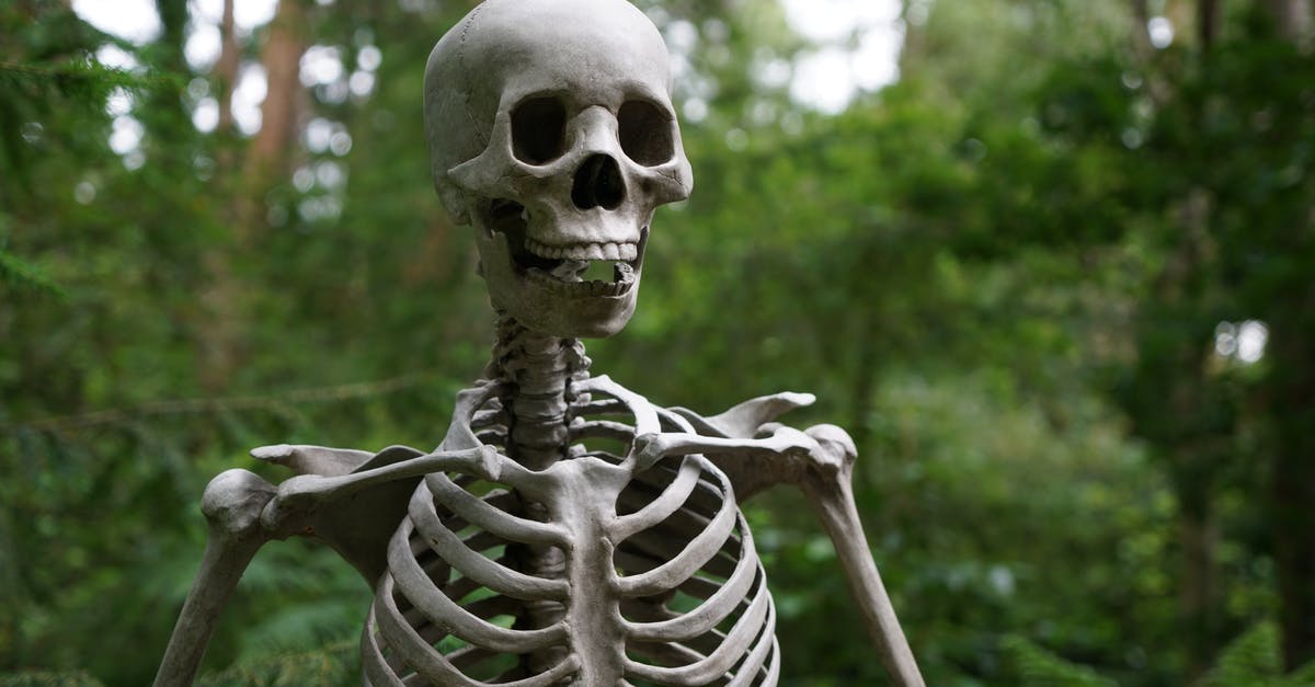 How to change Wither Skeleton skull drop rates (1.9) - Selective Focus Photography of Skeleton How to change Wither Skeleton skull drop rates (1.9) - Selective Focus Photography of Skeleton