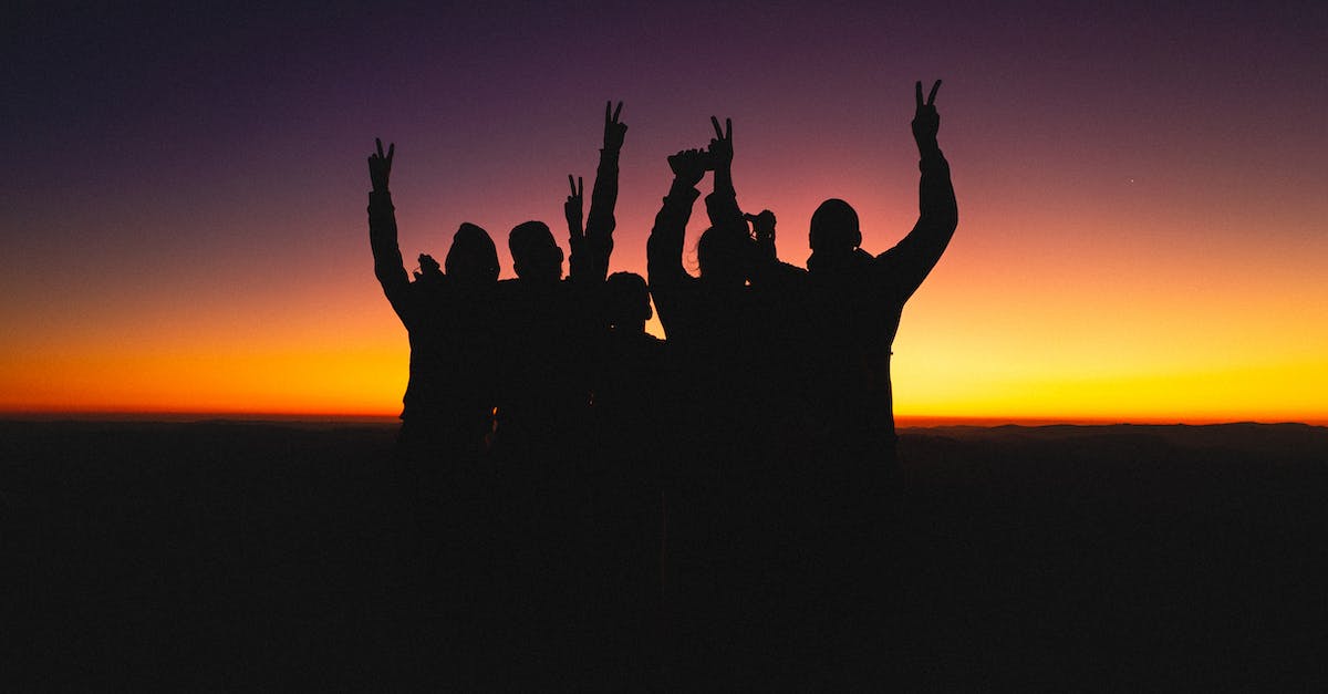How to clear a control group in Starcraft 2? - Figures of anonymous friends raising hands up while cheering and standing against colorful orange sundown and dark purple sky in evening
