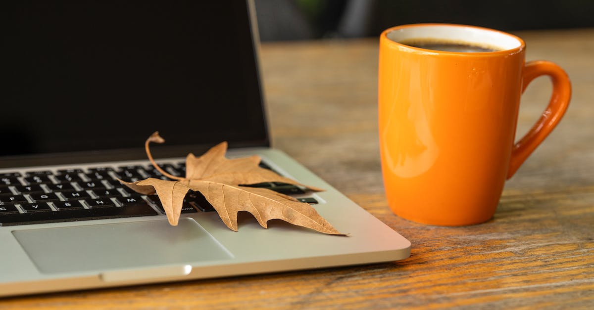 How to close computer terminal with a hot key? - Brown Leaf on Lapotp