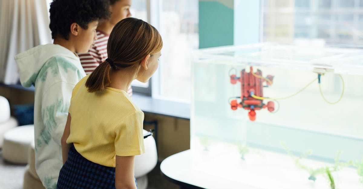How to complete a new friend quest? - Side view of group of concentrated multiracial children looking at new engineering device in light room How to complete a new friend quest? - Side view of group of concentrated multiracial children looking at new engineering device in light room