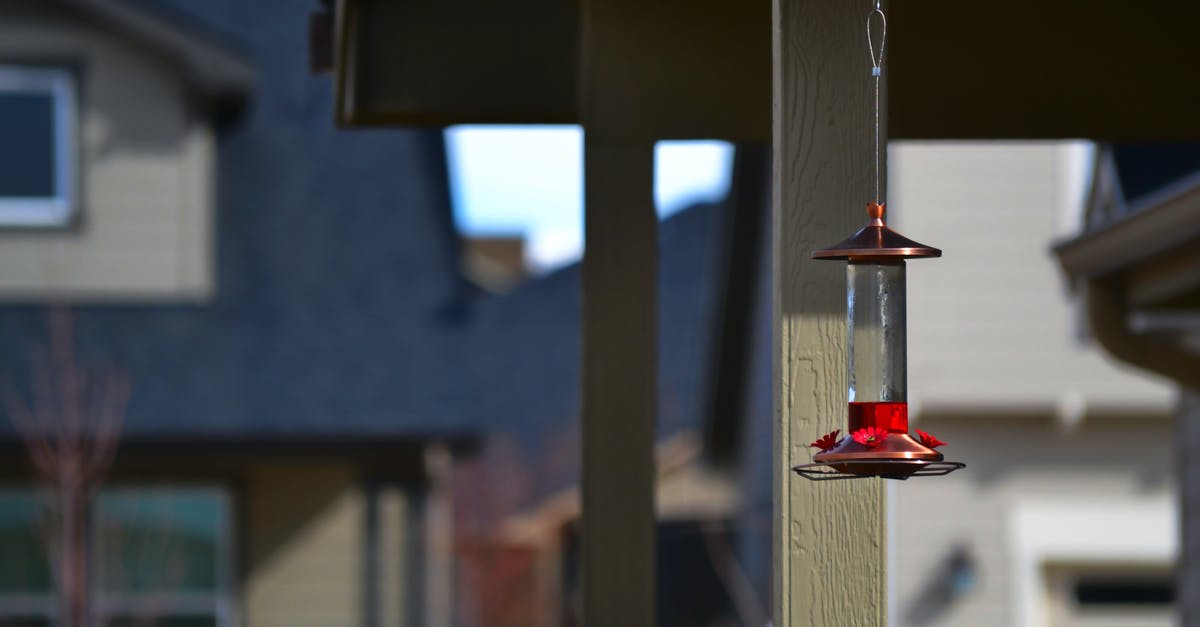 How to connect Action Replay DS to Windows 10? - Selective Focus Photography of Hanging Decor
