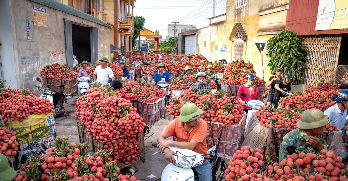 How to cope with local domination? - Woman in Green Hijab Sitting on Red and Green Fruit Stand
