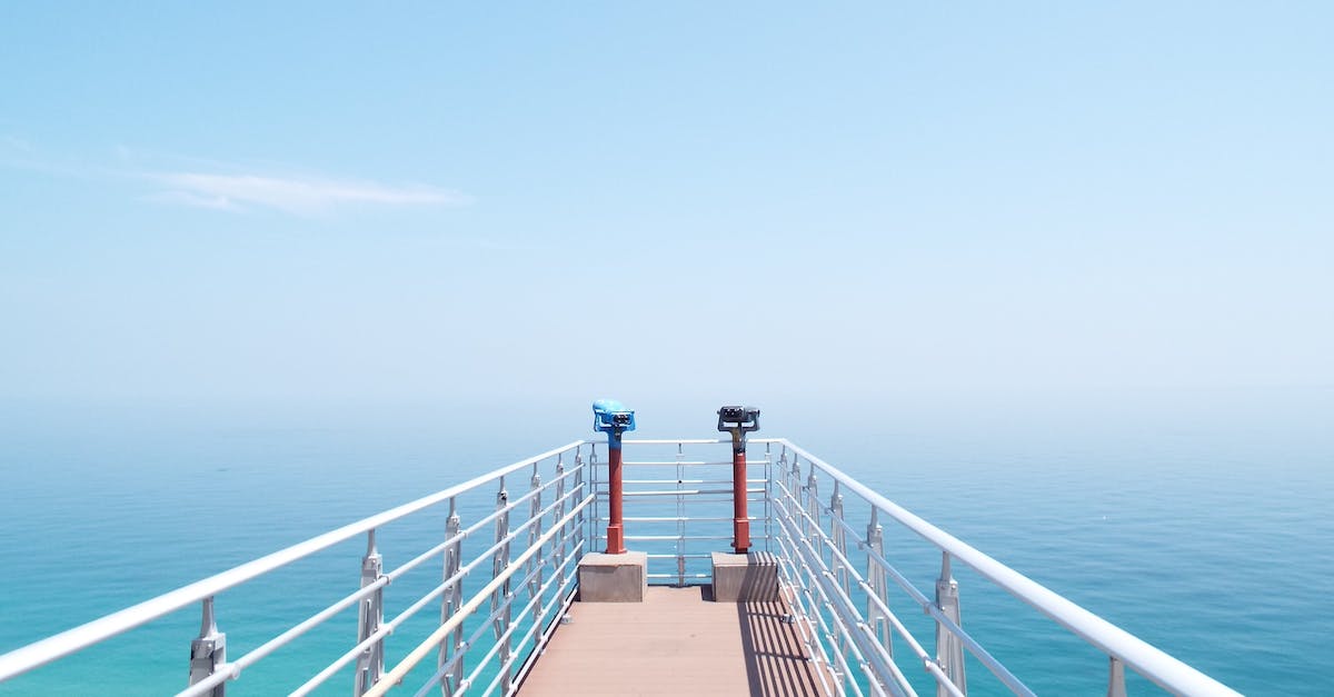 How to decide later when a ship is captured but the dock is full? - White and Brown Sea Dock