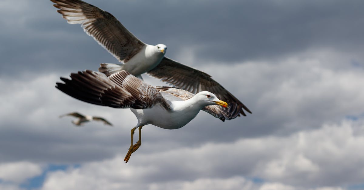 How to defeat the final three predators in the alien campaign on Nightmare difficulty? - seagull