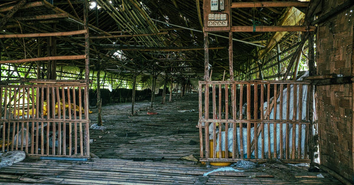 How to destroy barriers for easier snapshot? - Shabby bamboo construction with wooden fences and weathered roof with thick branches located in rural area in countryside with plants How to destroy barriers for easier snapshot? - Shabby bamboo construction with wooden fences and weathered roof with thick branches located in rural area in countryside with plants