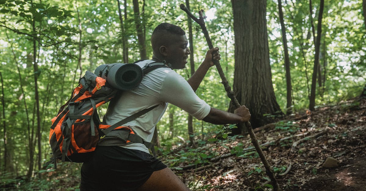 How to determine the correct truck on Election Day: Day 1? - Side view of black young man with backpack climbing with tree branch among green woods on sunny summer day