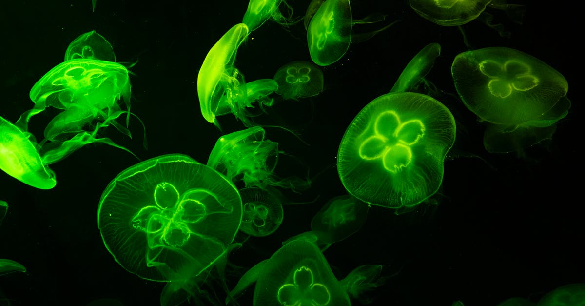 How to disable HUD transparency in Half-Life? - Underwater Photography of Green Jelly Fish How to disable HUD transparency in Half-Life? - Underwater Photography of Green Jelly Fish