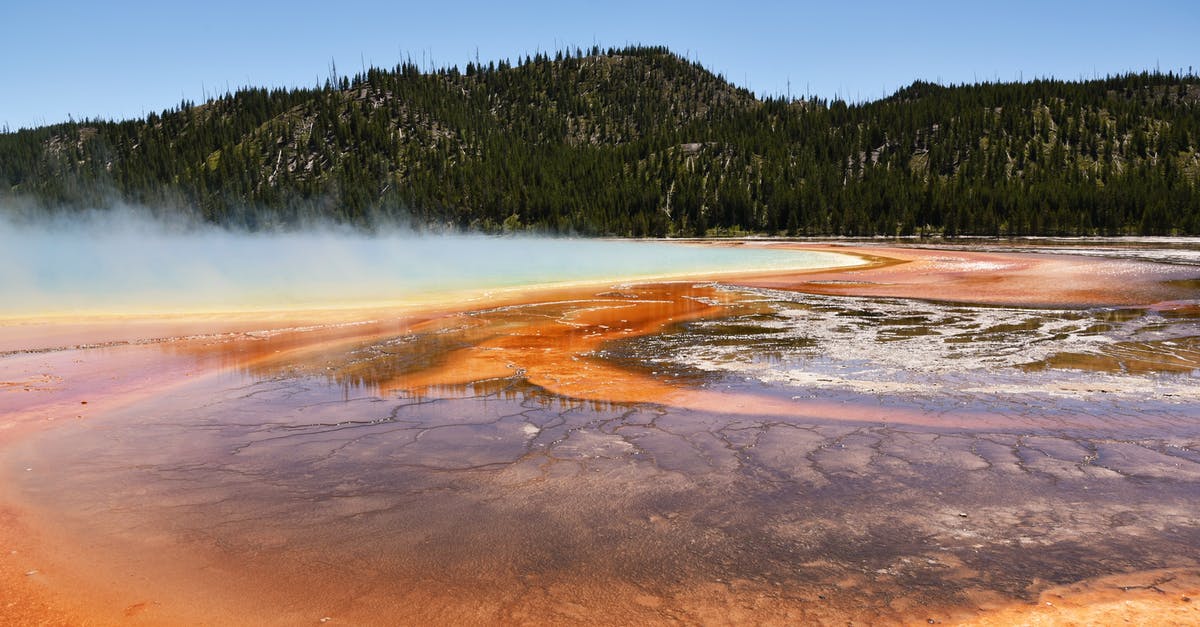 How to disable Steam broadcasting? - Green Trees Beside Body of Water