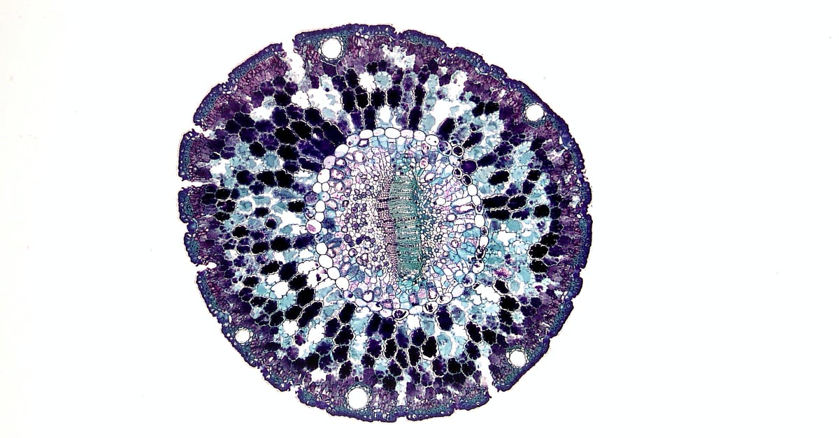 How to distinguish caught and seen Pokémon? - Cell Seen Under Microscope