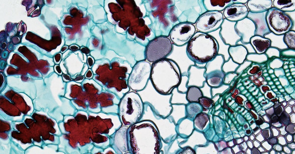How to distinguish caught and seen Pokémon? - Cell Seen Under Microscope How to distinguish caught and seen Pokémon? - Cell Seen Under Microscope