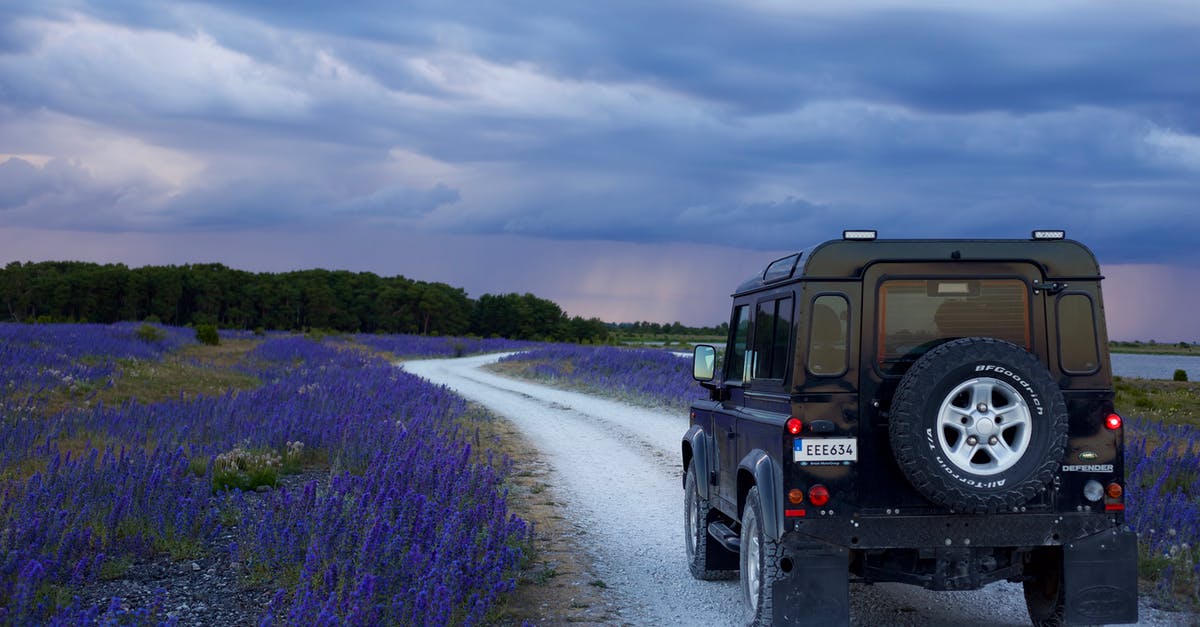 How to do 'Road to Freedom' quest? - Black Suv in Between Purple Flower Fields