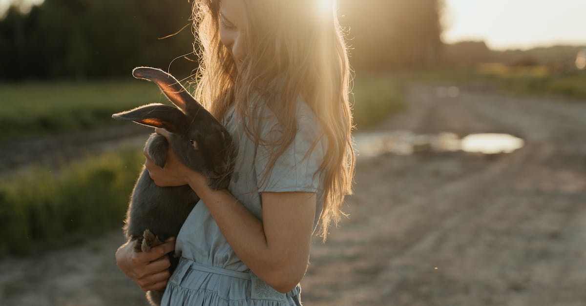 How to enable 60 fps in Alice Madness Returns? - Woman in Blue Dress Holding Black and Brown Short Coated Dog