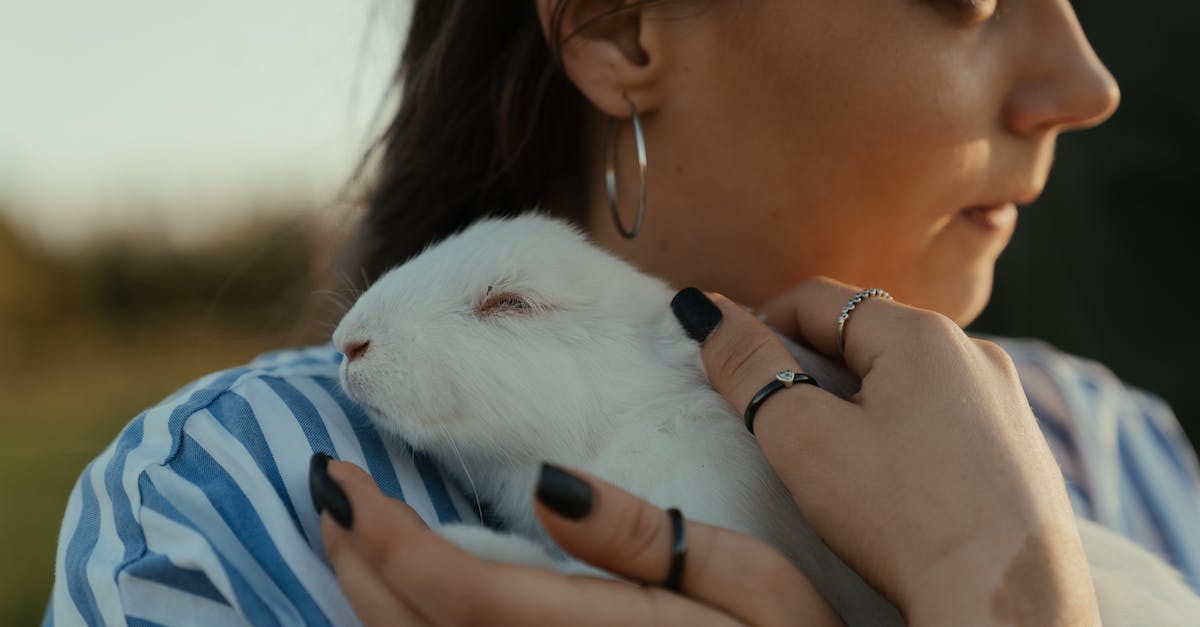 How to enable 60 fps in Alice Madness Returns? - Woman in Blue and White Stripe Shirt Holding White Rabbit
