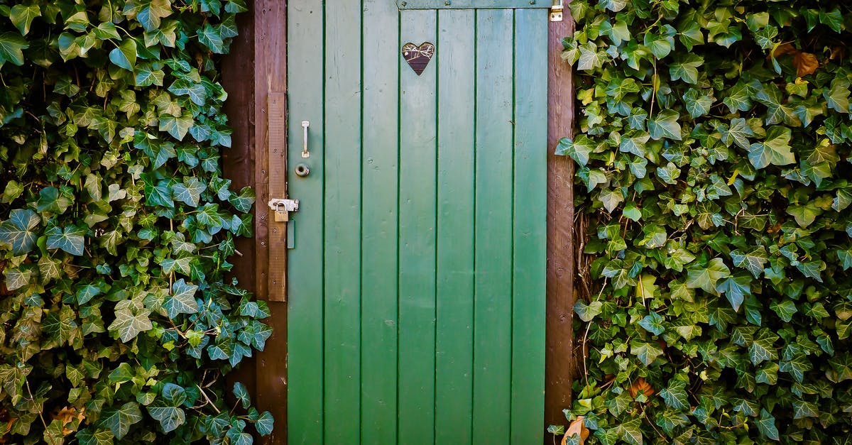 How to exit fullscreen? - Green Door and Green-leafed Plants How to exit fullscreen? - Green Door and Green-leafed Plants