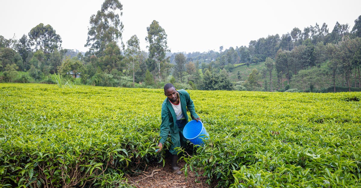 How to farm key molds? - Man Holding a Blue Bucket with Fertilizer How to farm key molds? - Man Holding a Blue Bucket with Fertilizer