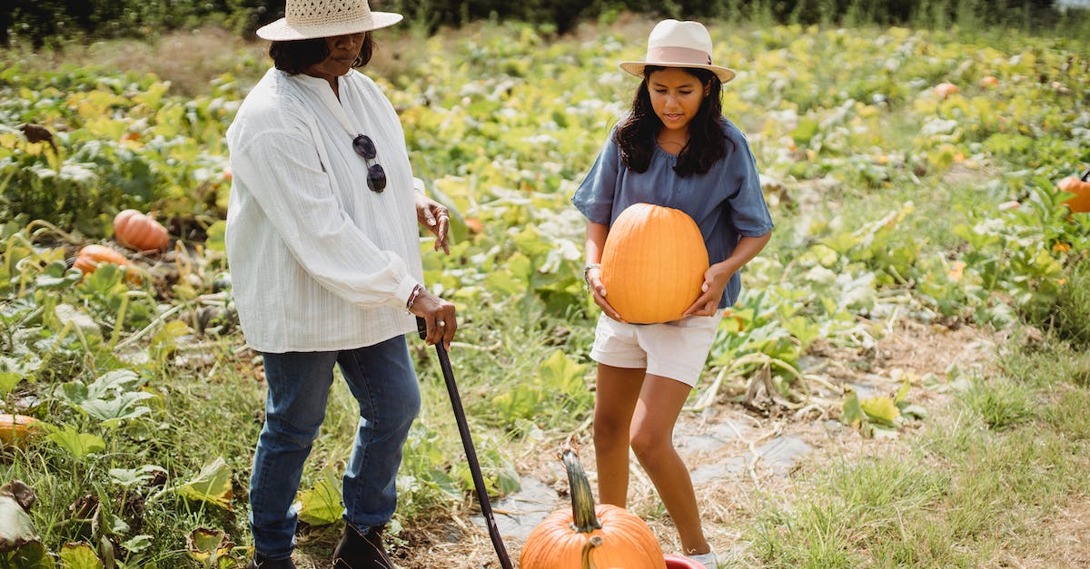 How to farm non-respawnable bosses (Pre Respawnable bosses patch - Xbox 360) - Full body of female farmer holding cart near young girl with pumpkin in rural field