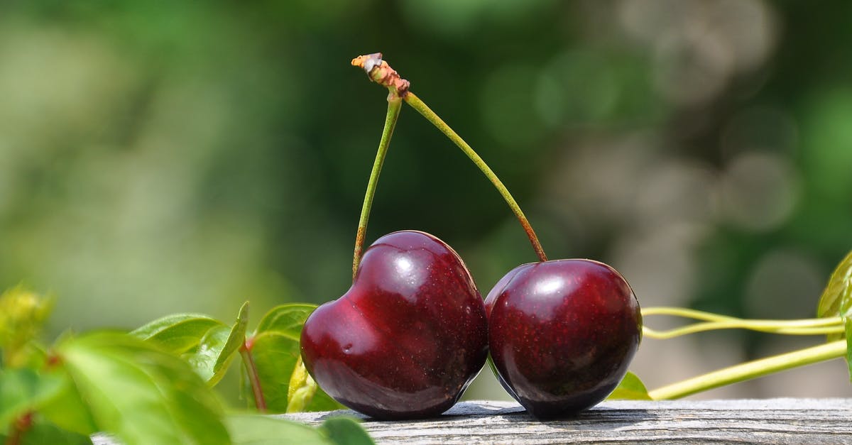 How to feed hopper when owned by prisoners? - Close Up Photography of a Red Cherry Fruit