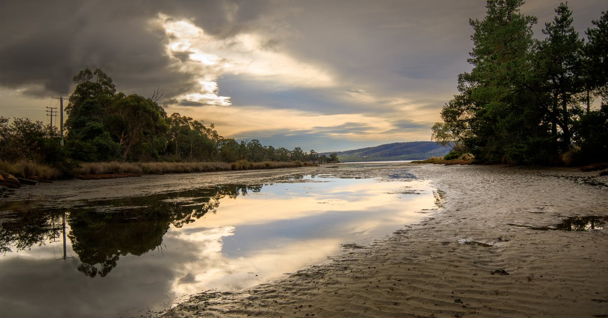 How to find the green slime in Slime Rancher? - Calm river covered with slime How to find the green slime in Slime Rancher? - Calm river covered with slime