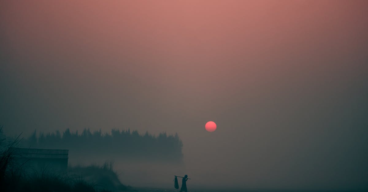 How to find the mystery person walking around - Person walking on street during sunset How to find the mystery person walking around - Person walking on street during sunset