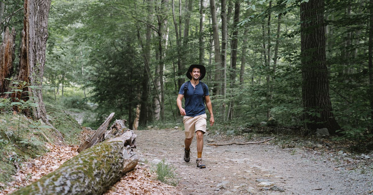 How to find the mystery person walking around - Free stock photo of adventure, environment, fall How to find the mystery person walking around - Free stock photo of adventure, environment, fall