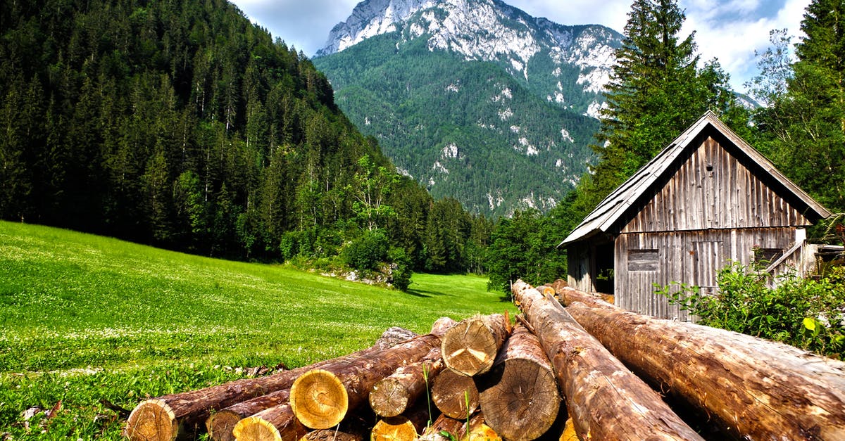 How to fix discolored logs in Skyrim? - Brown Logs on Grass Field