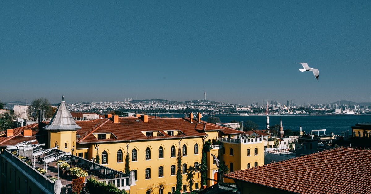 How to fly to an exact location with dragons? - Picturesque scenery of seagulls soaring above picturesque coastal district in Istanbul on sunny day