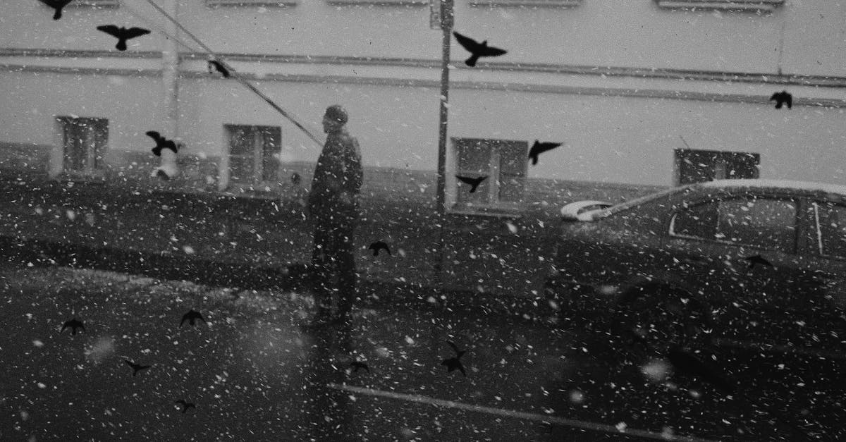 How to fly to an exact location with dragons? - Unrecognizable man standing on road during snowfall