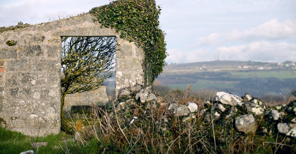 How to get a score over 9,000,000 on the ruins course? - Ruins being Covered with an Ivy Plant