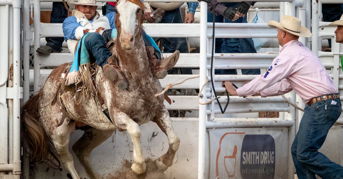 How to get horse through gate in Sims 3? - Men Competing in a Rodeo Event How to get horse through gate in Sims 3? - Men Competing in a Rodeo Event