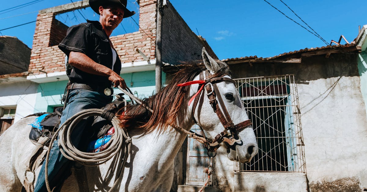 How to get horse through gate in Sims 3? - From below side view of anonymous ethnic male rider in hat riding purebred horse near old building under blue sky How to get horse through gate in Sims 3? - From below side view of anonymous ethnic male rider in hat riding purebred horse near old building under blue sky