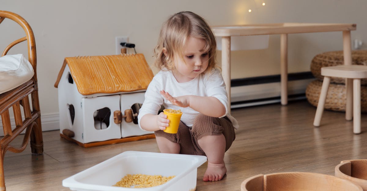 How to get in touch with World of Warcraft narrative without playing the game? - Girl Holding Yellow Plastic Cup Full of Macaroni