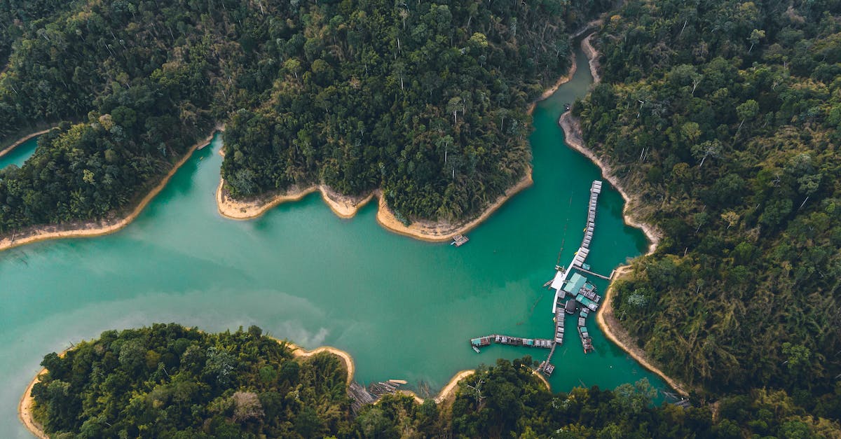 How to get livestock onto remote island in Minecraft? - Breathtaking drone view of houses on water and sandy coastline surrounded by exotic forest and lagoon How to get livestock onto remote island in Minecraft? - Breathtaking drone view of houses on water and sandy coastline surrounded by exotic forest and lagoon